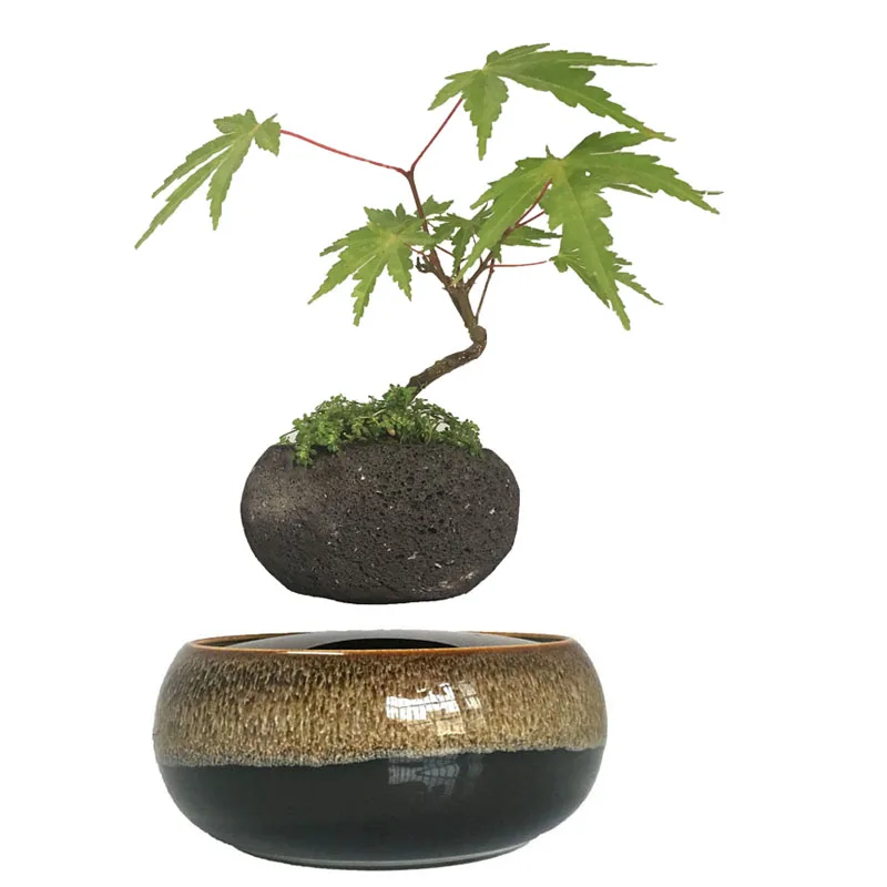 2018 japan levitating air bonsai floating tree Layer garden