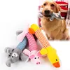 Chew Bite Toys for Dog