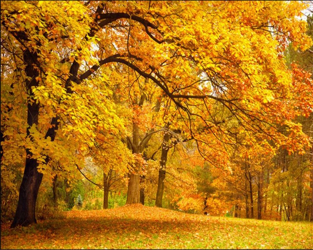 

Custom large autumn tree golden floor gold street lobo TV sofa living room background wall fresco wallpaper Beibehang