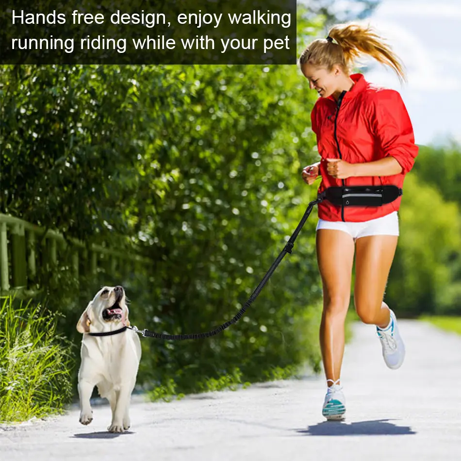 dog show lead leash