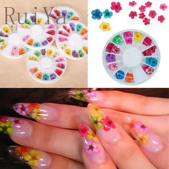 

36Pcs Real Dried Flowers For UV Gel Acrylic Nail Art Decoration DIY Tips Small Flowers Nails Rhinestones nail sticker Manicure