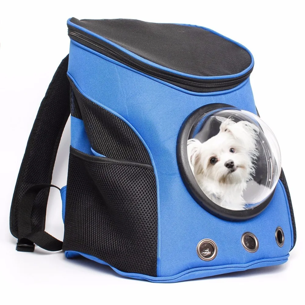 81wqbsdnupL._SL1200_