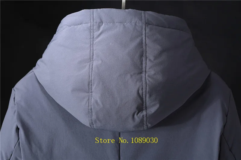 23256