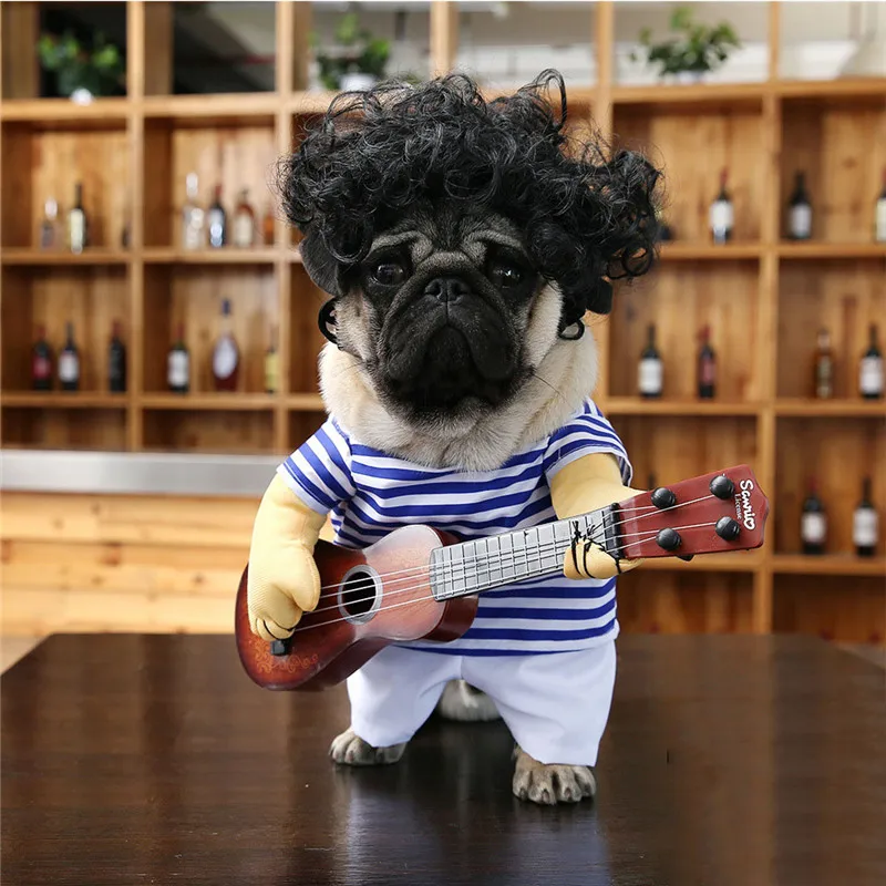 dog coat for pug  (1)