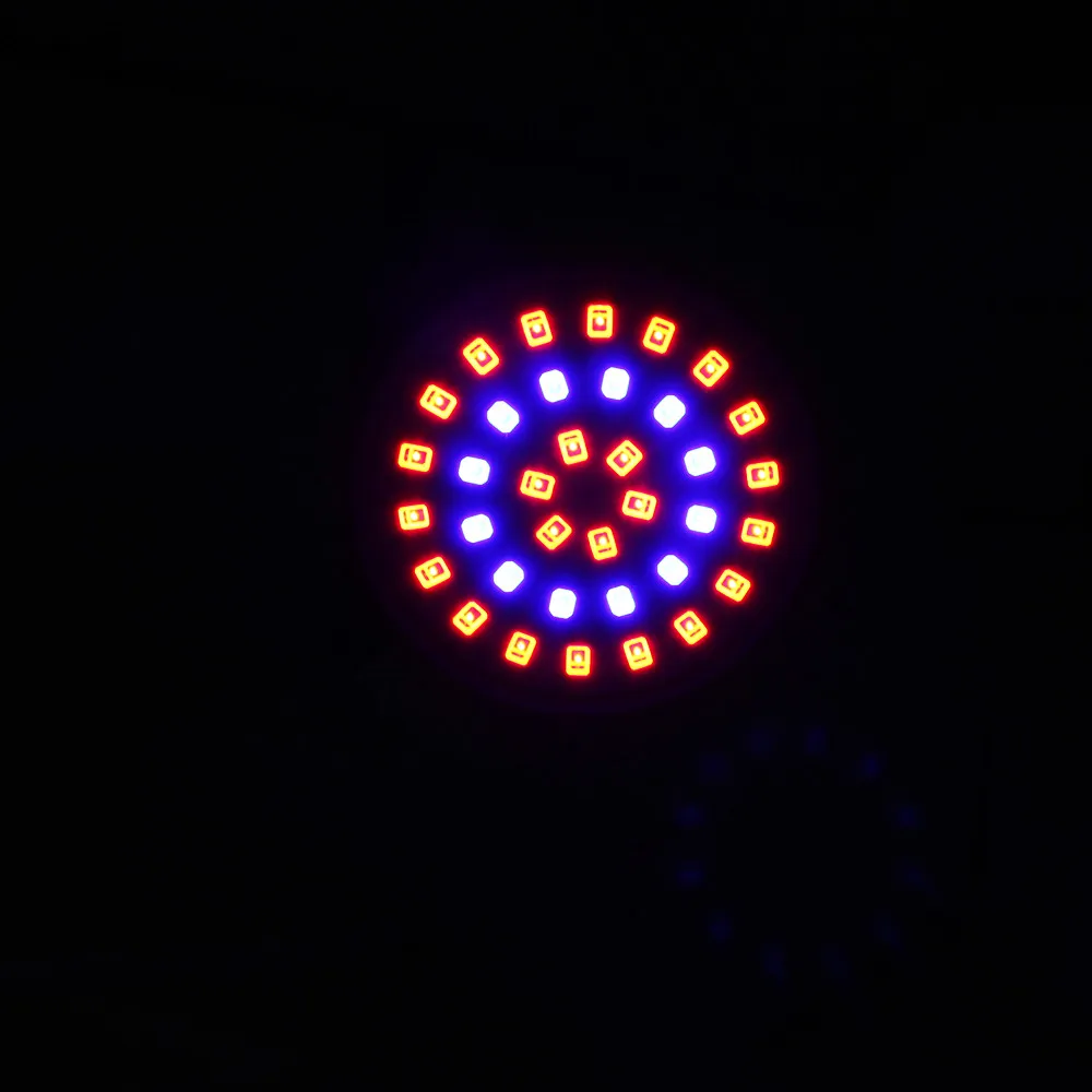 2 (12)