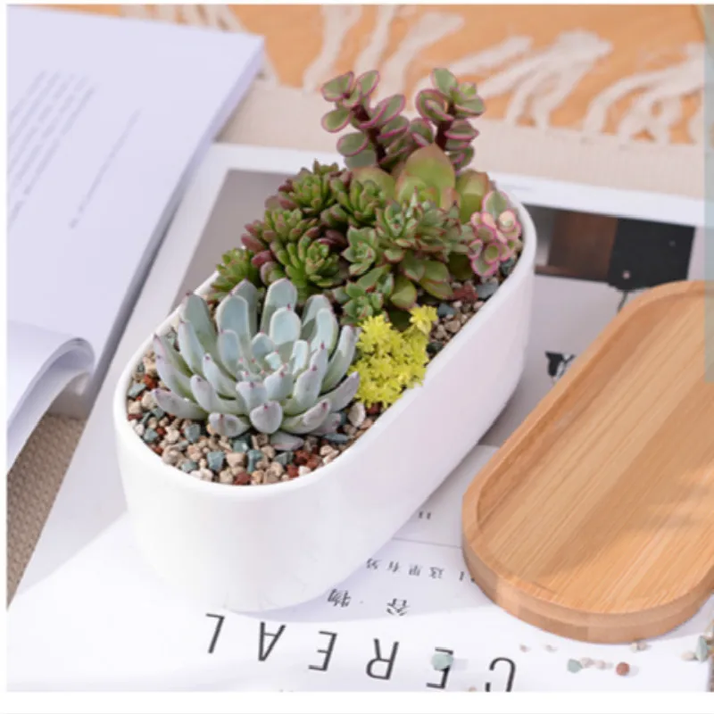 Minimalist White Ceramic Succulent Plant Pot Porcelain Planter Decorative Desktop Flower Home Decor Creative Flowerpot | Дом и сад