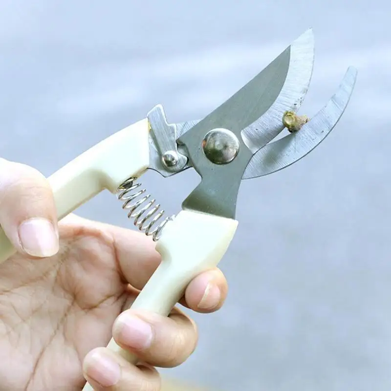 50b92d2120c304675ef5b6db143b6c3c5a60daca_original