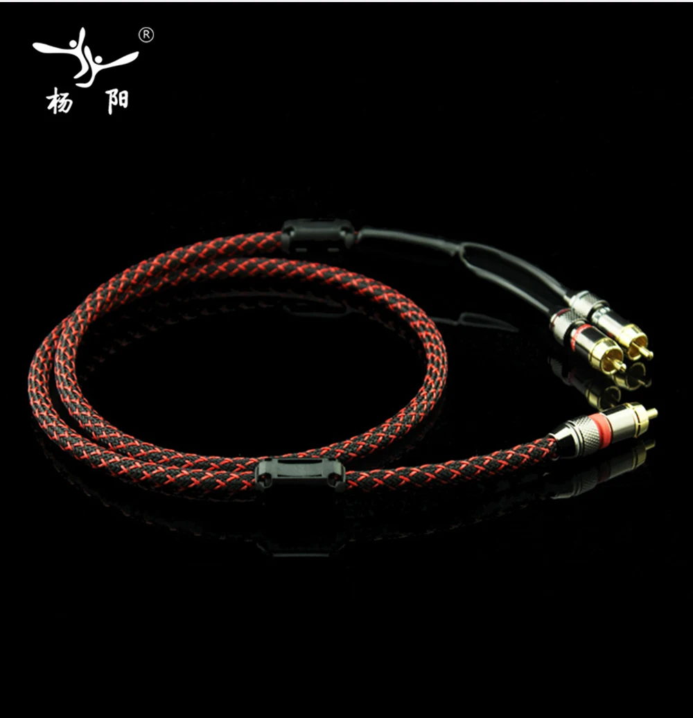 RCA2RCA_04