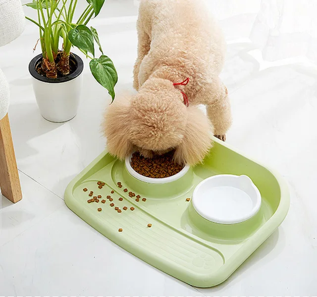 Buy New design pet food dish PP eco friendly materials