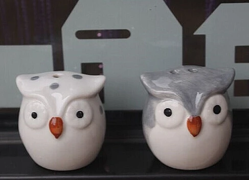 

10set/lot Gray/white Owl Ceramic Salt and Pepper Shakers Wedding Souvenirs and Kids Event Party Supplies 1set=2piece