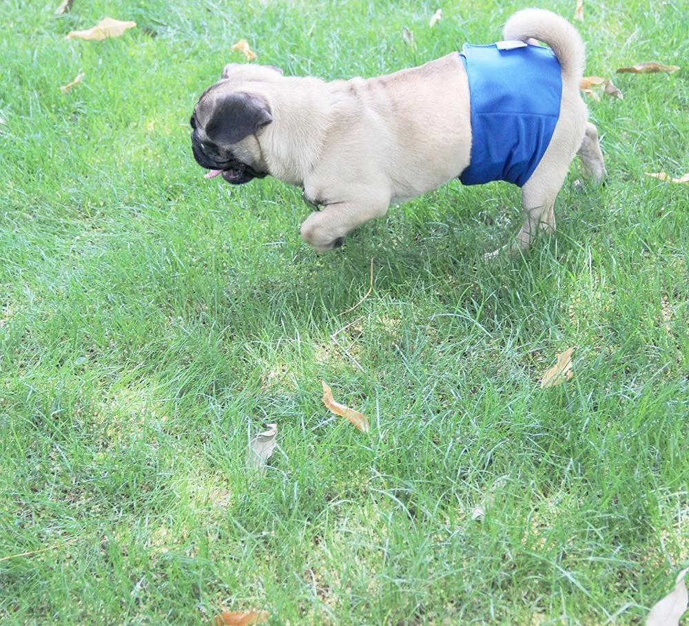 Dog Diapers Washable Reusable Pet Male Cloth Physiological Sanitary Dog Shorts Underwear Pant for Pet Dogs Nappy Belly Hand Wrap
