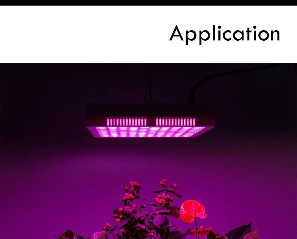 300W Full Spectrum LED Plant Grow Light Lamp For Plant Indoor Nursery Flower Fruit Veg Hydroponics System Grow Tent Fitolampy (14)