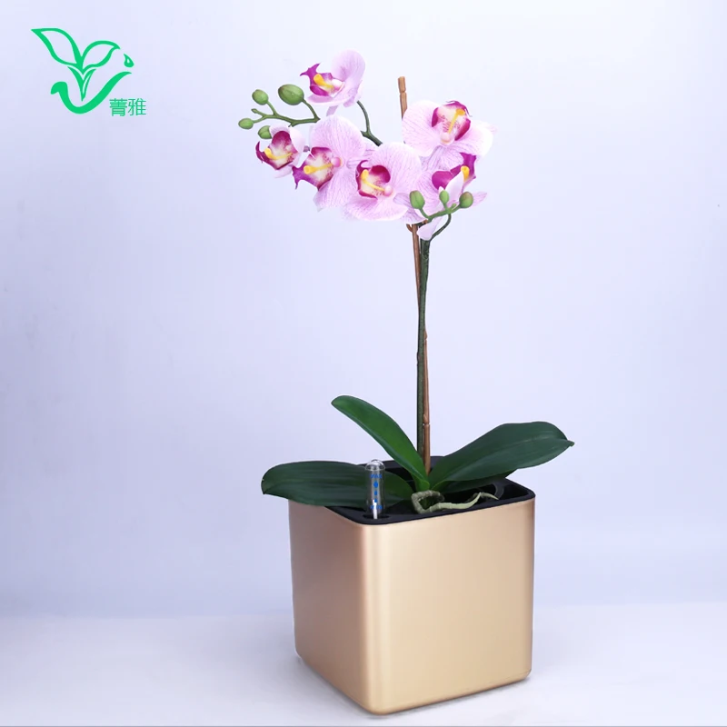 

Six colour Margic square lazy self absorption water creative personalized paint porcelain plastic flower pot for graden plant