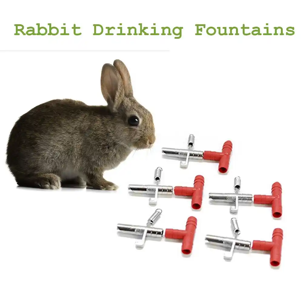 2pcs House Rabbit Mouse Drinkers Nipple Drinker Rodent Automatic