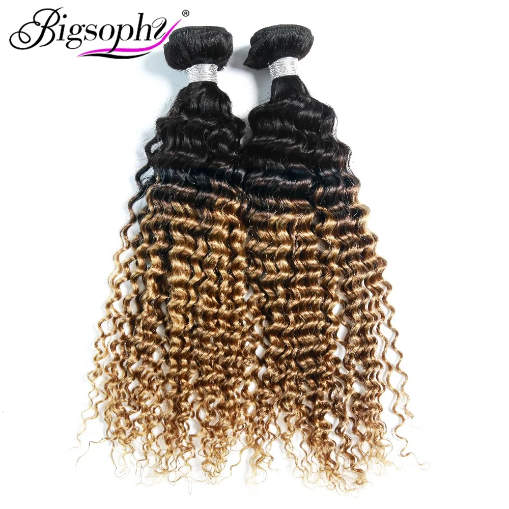 Bigsophy Malaysian Hair Weave Bundles Human Hair Bundles Deep Wave 4pcs Deal Remy Hair Extensions 2 Tone Ombre Color T1B/30 Bigsophy Malaysian Hair Weave Bundles Human Hair Bundles Deep Wave 4pcs Deal Remy Hair Extensions 2 Tone Ombre Color T1B/30