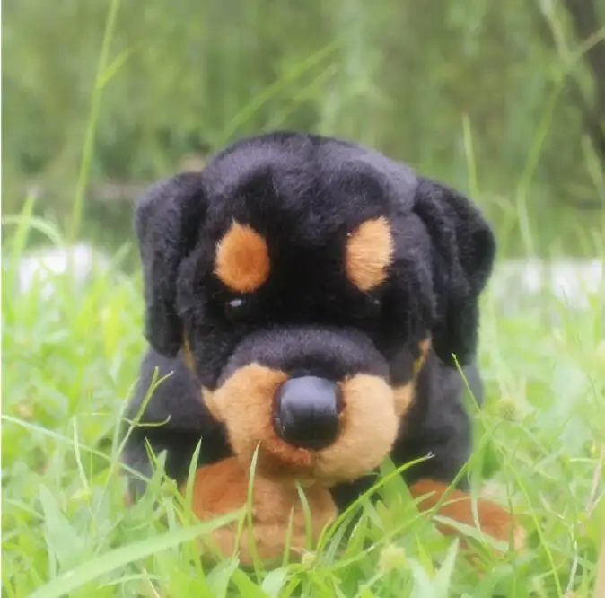 toy rottweiler