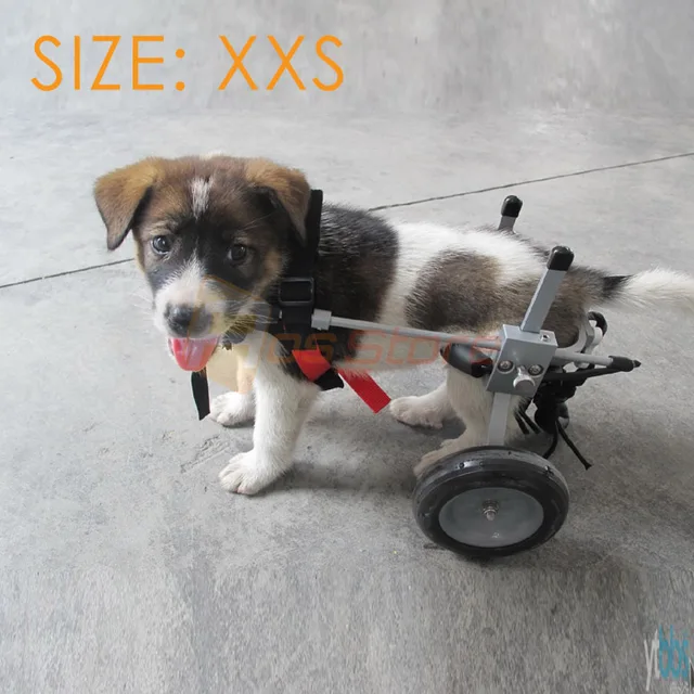 high quality small dog pet wheelchair for handicapped doggie puppy