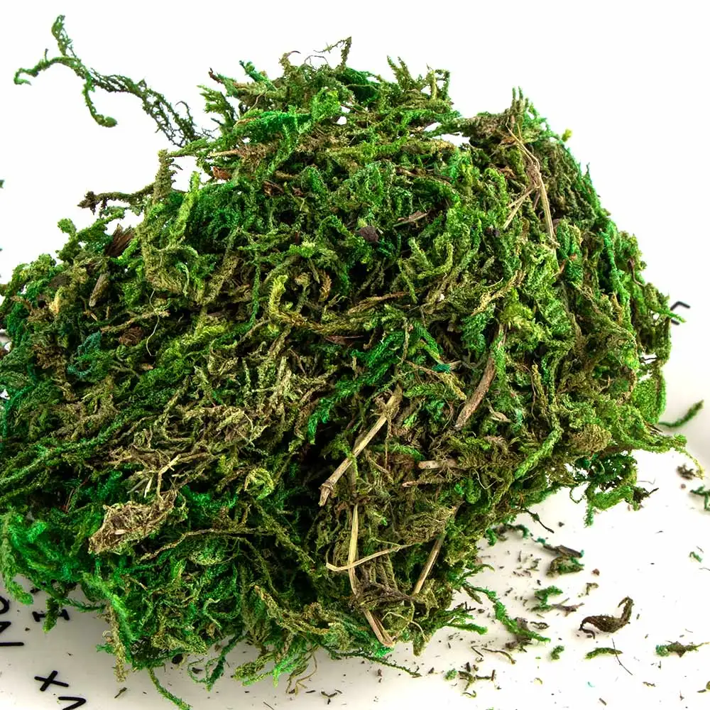 

50g/bag Natural Dry Real Green Moss Home Micro Landscape Decorative Plants Moss Flowerpot Decorating Artificial Dried Moss