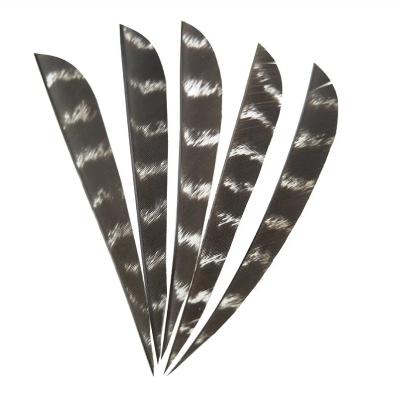 61zAMLoBIDL._SL1100_