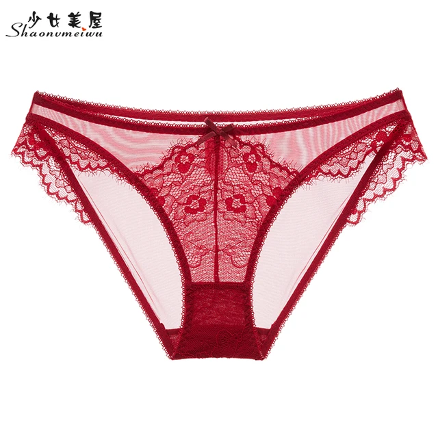 Sexy Transparent Lace Women Low Waist Panties  Sexy Transparent Net Panties  Waist - Panties - Aliexpress