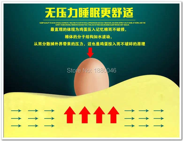 FHDCMEMFMS00405