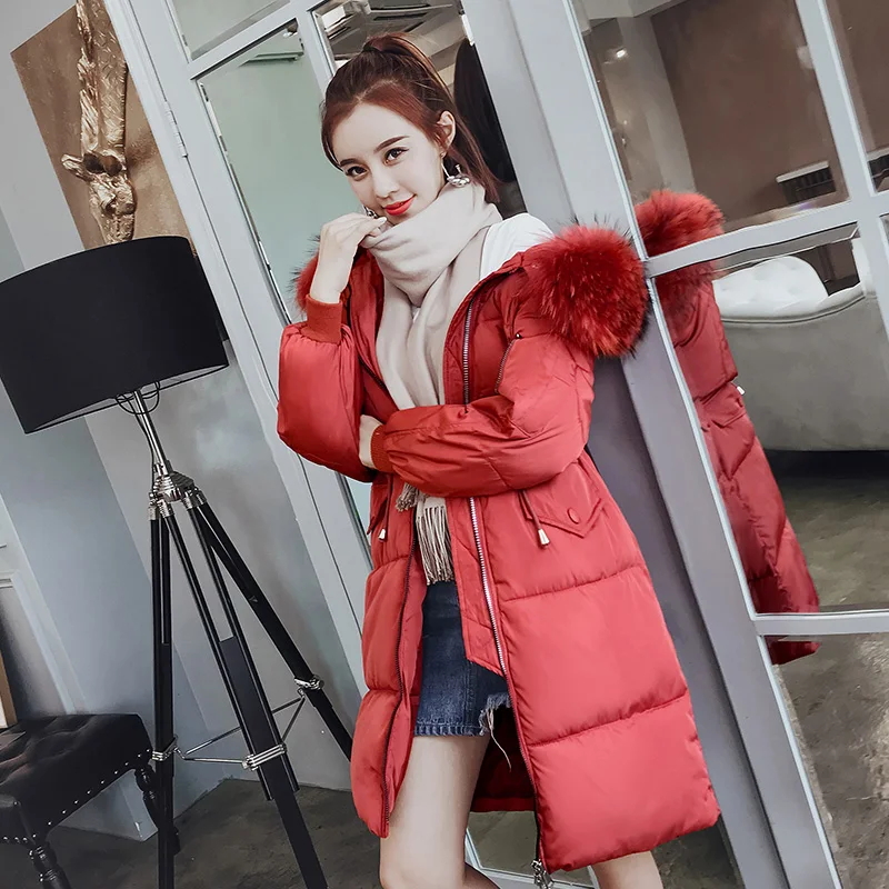 blanc Printemps Mode De 2018 Kuyomens Rouge gris Noir Coton Manteau Couleur Solide Hiver Survêtement Chaud Femmes corail Nouvelles Automne Veste FTxz5qw