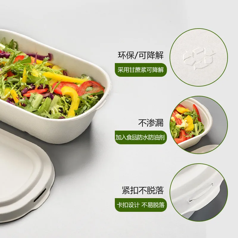 500x Disposable Box Compostable Bagasse Biodegrade Food Grade Eco-friendly Take-out Carry-out Take-away Lunch Box Bowl Lids