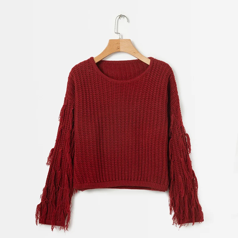 ShejoinSheenjoy Tassel Long Sleeve Knitted Sweater Women Tops Pullovers O-Neck Autumn Winter Short Pullover Women Sweaters (34)
