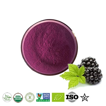 

100% Natural Blackberry Juice Powder