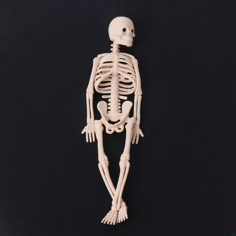 

HBB Skeleton Human Model Skull Full Body Mini Figure Toy Phone Hanger Halloween