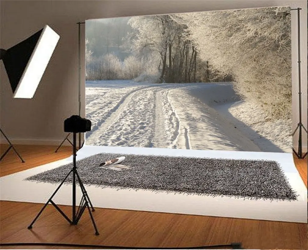 

Photography Backdrop Christmas Snow Covered Landscape Trees Sunshine Nature Winter Scene Xmas Photo Background