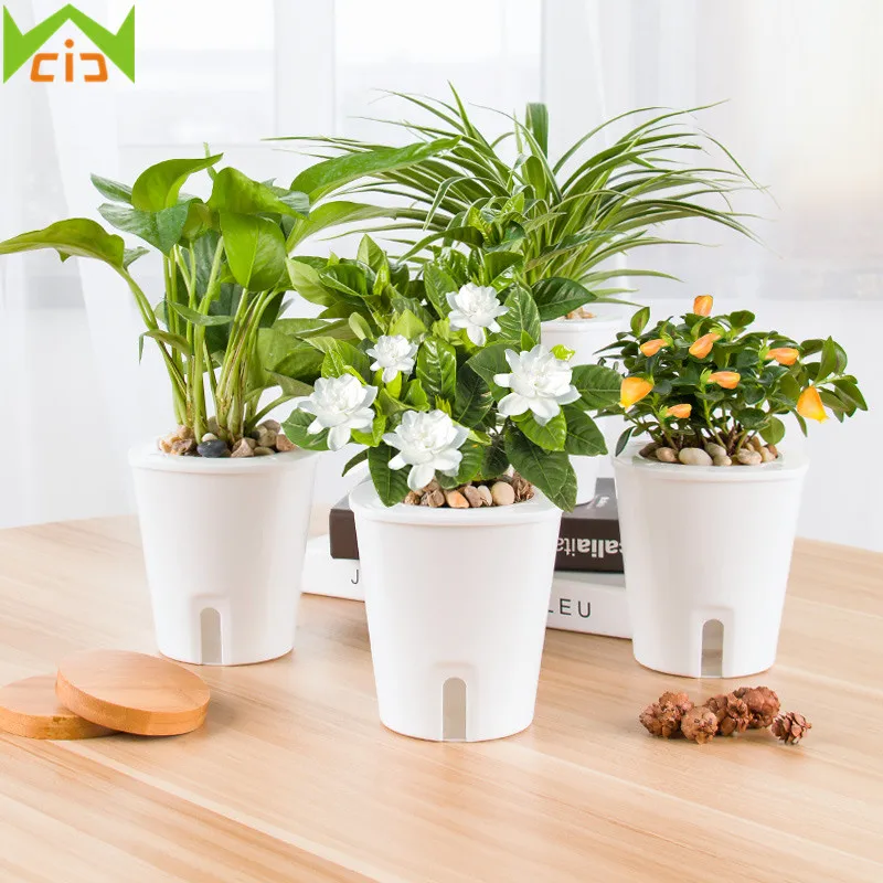WCIC Lazy Automatic Flower Pots Water Absorbing Succulents WCIC Lazy Automatic Flower Pots Water Absorbing Succulents