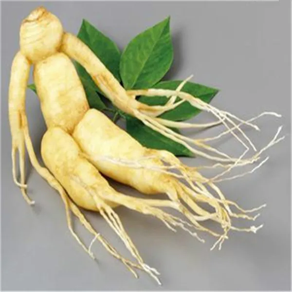 

Original Pack 20pcs Chinese Hardy Panax Ginseng Korea Ginseng bonsai King Of Herbs Plants Home High-nutrition Vegetable And Frui