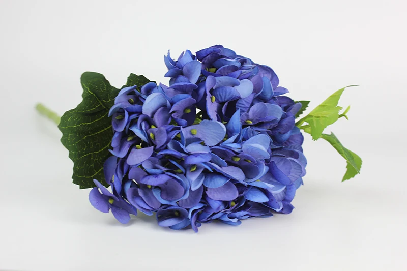 1deepblue