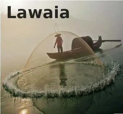 “ Forte com Material Malzemeleri 11 m Pesca Gaiola
