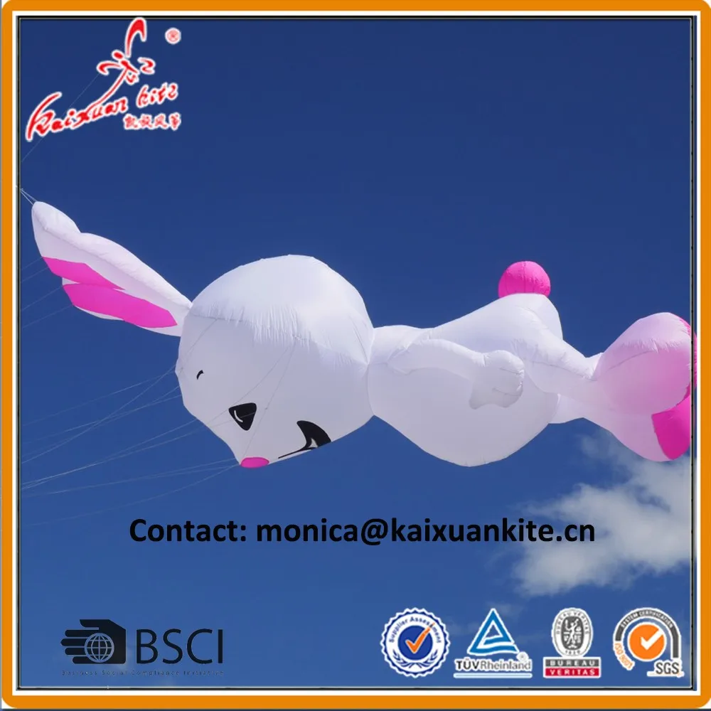 rabbit3
