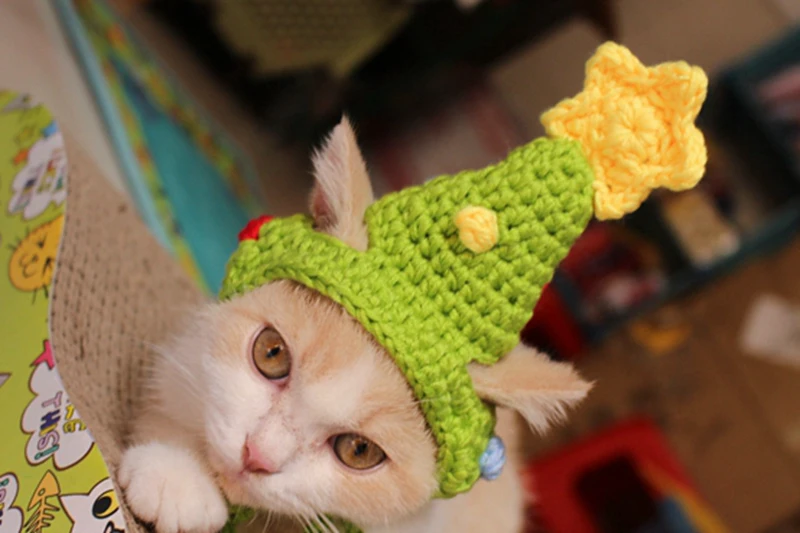 [MPK Store] конус формованный головной убор для кошек, бейсболка с кошкой, толстовки для кошек, костюм для домашних животных