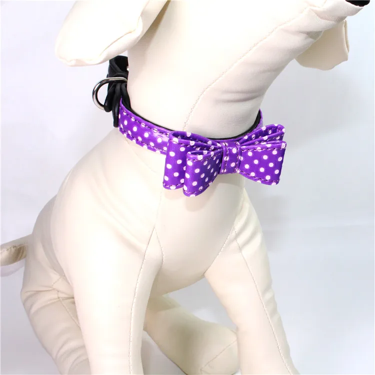 dog collar (10
