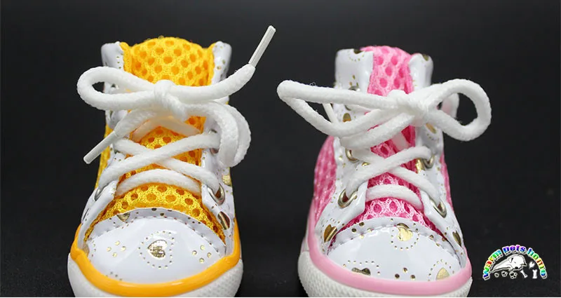 shoes for dog