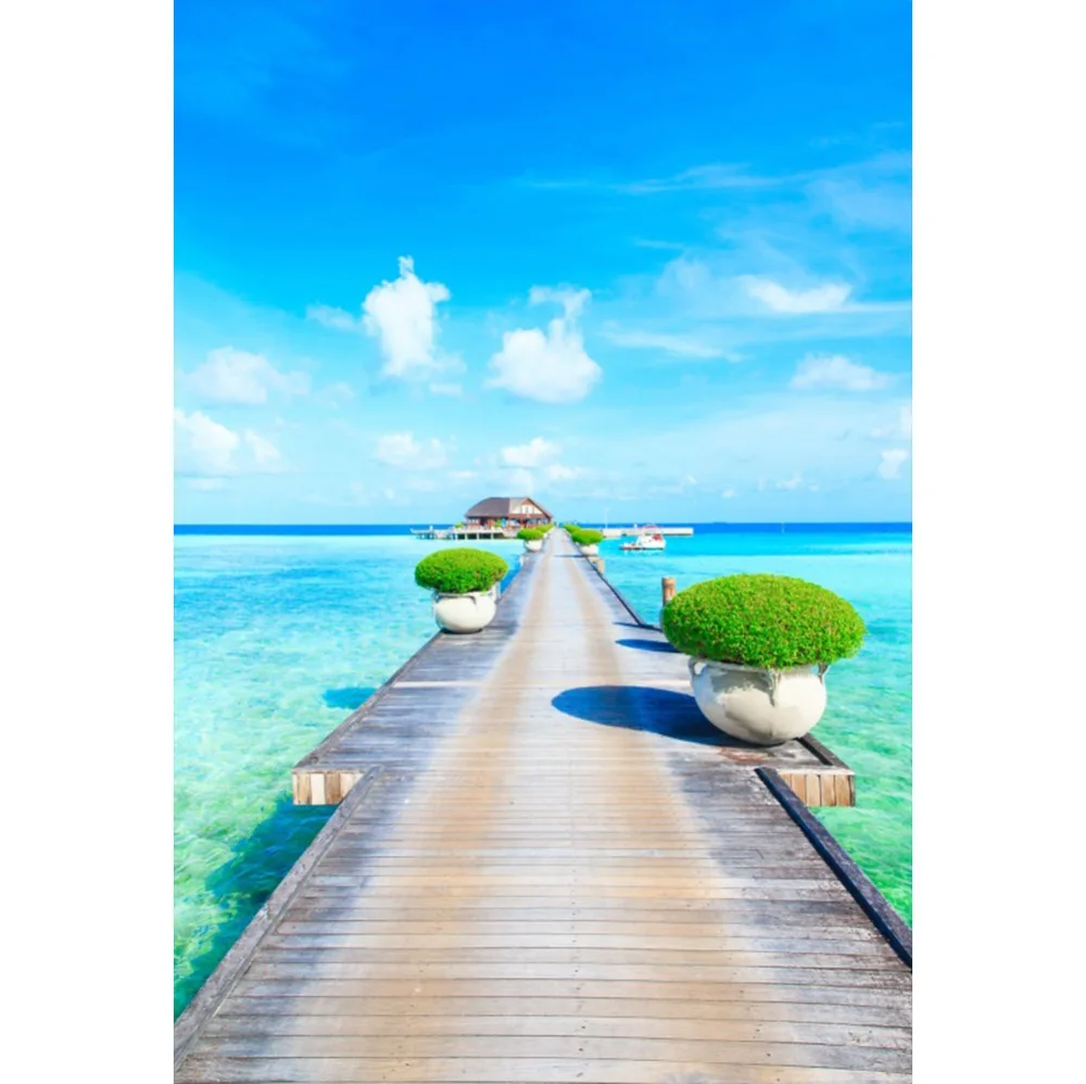 Laeacco Seaside Blue Sky White Clouds Wooden Bridge Natural Scene Photographic Background Photography Backdrops For Photo Studio Laeacco Seaside Blue Sky White Clouds Wooden Bridge Natural Scene Photographic Background Photography Backdrops For Photo Studio