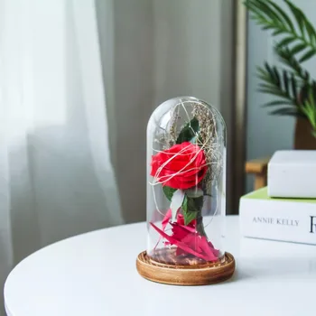 

Simulation Rose led lights glass cover decoration creative bionic flower micro landscape home decoration lights