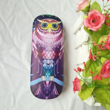 

LIUSVENTINA Hot Story Cute Secret Garden Owl Frame Glasses Box Sunglasses Case Gift for Girls and Friends