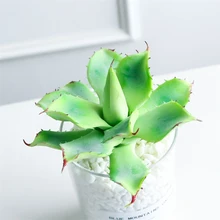 Зеленые искусственные суккуленты растения пластиковые поддельные декоративный кактус Ассорти декоративный искусственный суккулент домашний офис Крытый без горшка