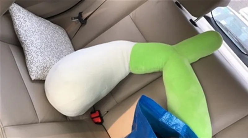  vegetable garlic toy8