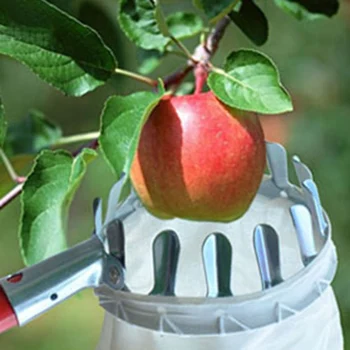

Fruit Picker Convenient Horticultural Fruit Picker Extract Pull downandbrea Gardening Apple Peach Picking Easy To UseTools