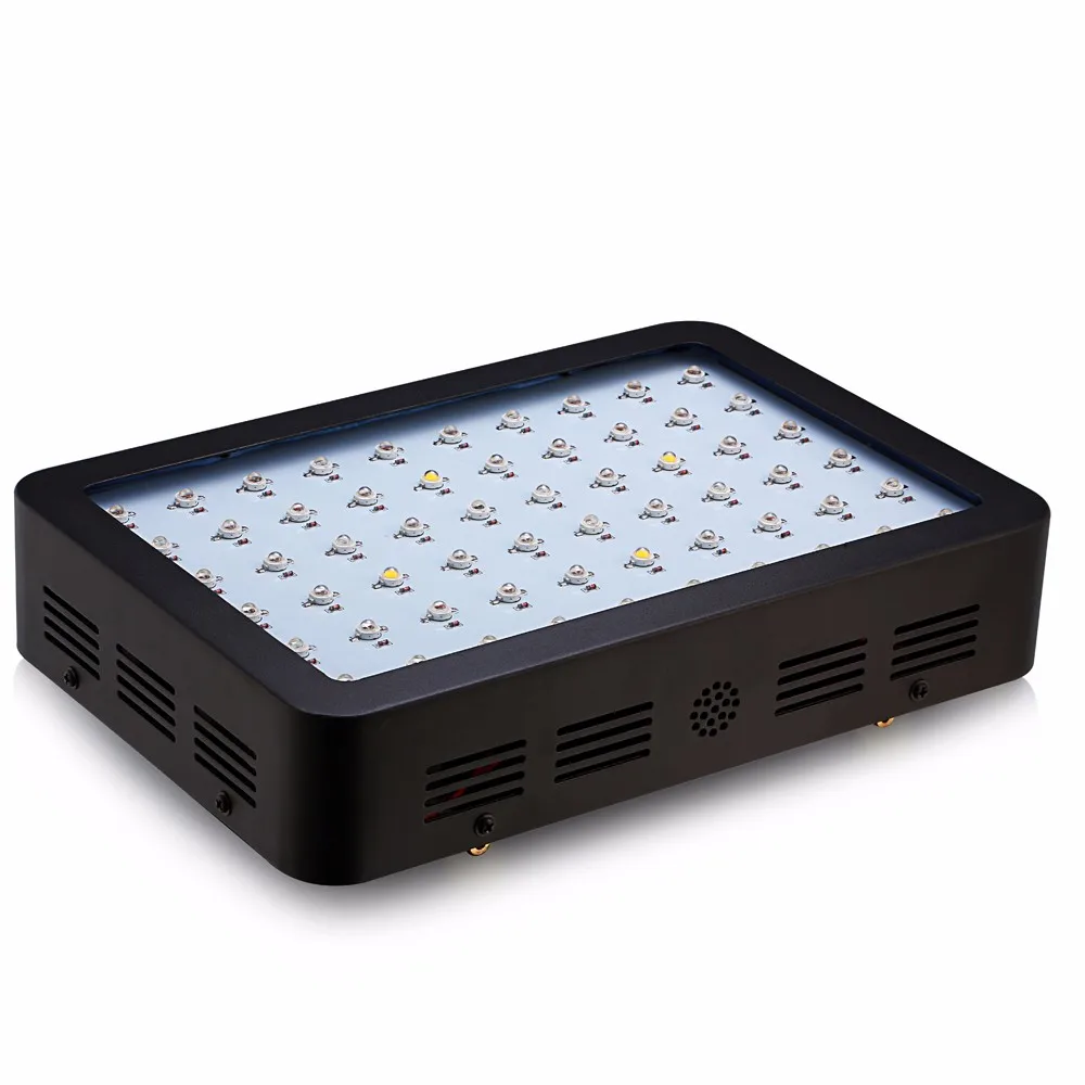 600W1