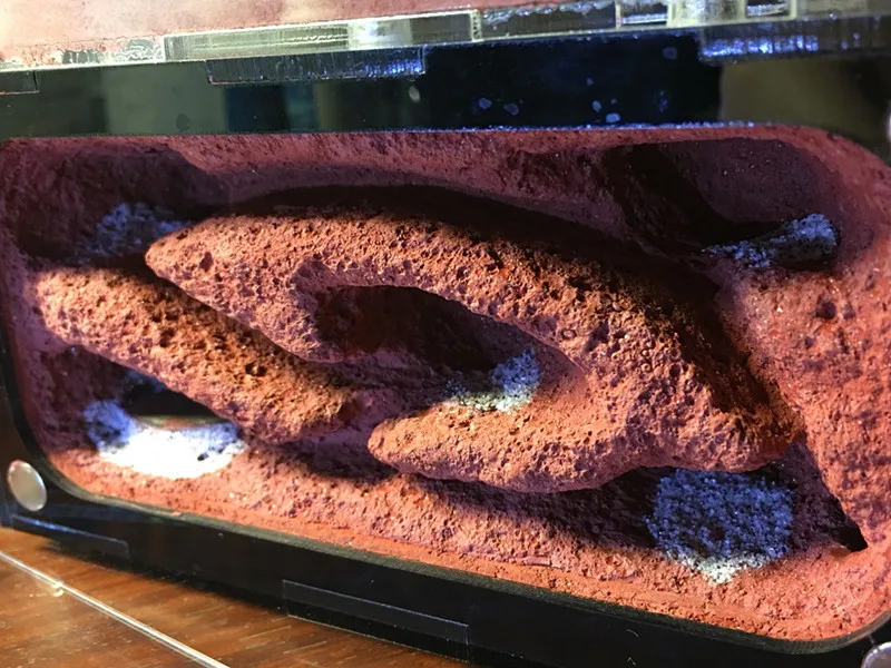  14*7*7cm Ant Nest Acrylic insect Box Two Bedroom Ant Workshop Bubble Nest Pet Cages Ant farm feedin - 32923924097