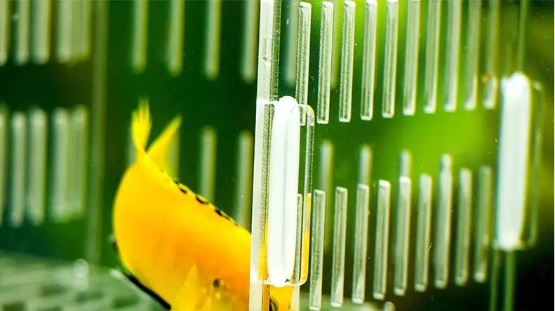 QQ20181022181839