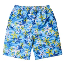 Мужские шорты для плавания быстросохнущие пляжные шорты для серфинга для бега, для плавания, Шорты для плавания# LRWS