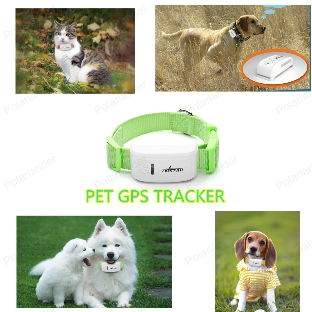 pet locator indoor gps Dog Collar GPS Pet Tracker TKStar Global Real